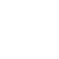 Independent research and<br/>development capability